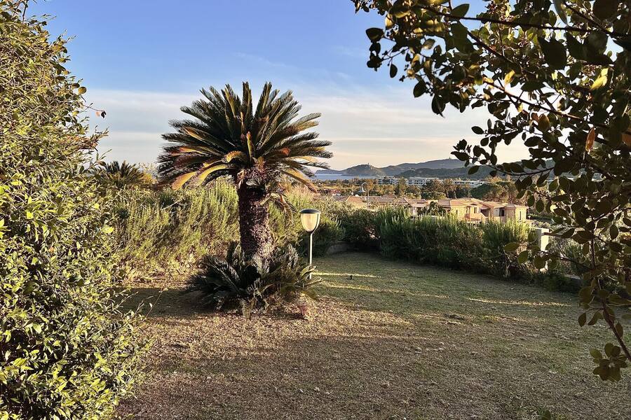 Giardino con palma e vista sul mare